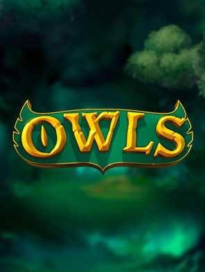 Owls